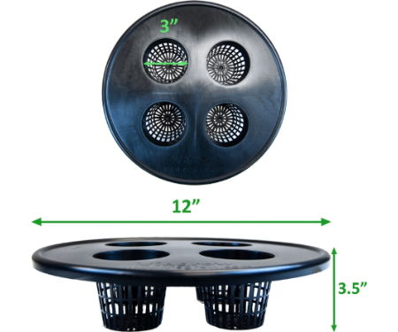 G125 V4MLCS